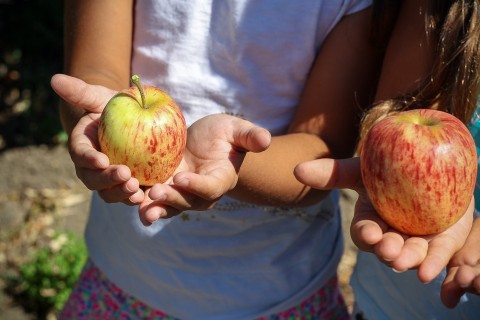 kids with apples