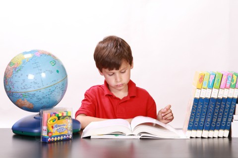 Boy reading AshTutors.co.uk