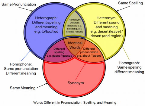 homophones diagram AshTutors.co.uk